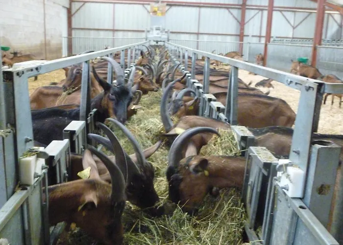 Hotel Restaurant Du Causse